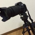 【レビュー】AF-S DX NIKKOR 18-140mm f/3.5-5.6G ED VRは普段使いに最適レンズ！