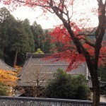 【時事】秋の永平寺～紅葉が美しい
